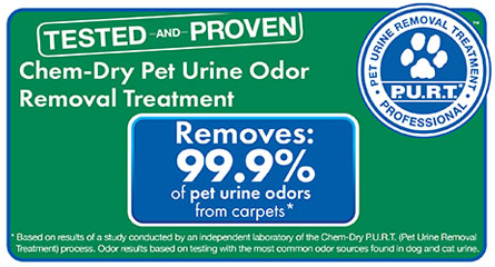 Klein Chem-Dry removes 99.9% of  pet odors from carpets
